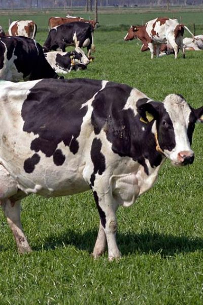 37b7a12a-7235-4832-beb5-adc72935db50